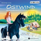 Ostwind. Das Zeltabenteuer & Wildtiere in Gefahr (MP3-Download)