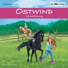Die Entführung / Ostwind Abenteuerreihe Bd.6 (MP3-Download) - Schwarz, Rosa