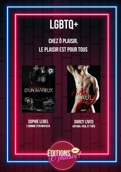 LGBTQ+ (eBook, ePUB) - Lebel, Sophie; Lived, Darcy