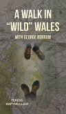 A Walk in &quote;Wild&quote; Wales with George Borrow