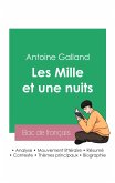 Réussir son Bac de français 2023 : Analyse des Mille et une nuits de Antoine Galland