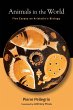 Animals in the World - Bild 1