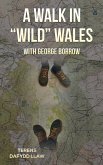 A Walk in &quote;Wild&quote; Wales with George Borrow