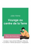 Réussir son Bac de français 2023: Analyse du Voyage au centre de la Terre de Jules Verne