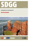 Stratigraphie von Deutschland XI: Buntsandstein (eBook, PDF)