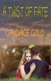 A Twist of Fate (eBook, ePUB) A Twist of Fate (eBook, ePUB)