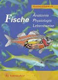 Fische (eBook, PDF)