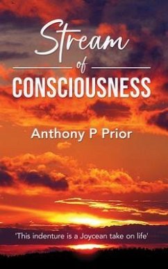 Stream of Consciousness (eBook, ePUB) - Prior, Anthony P
