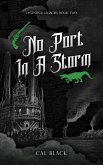 No Port in a Storm (Legends & Legacies, #2) (eBook, ePUB)