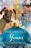 Pawsitively Yours for Christmas (Christmas in Snowy Falls, #3) (eBook, ePUB)