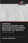 Evidenze microeconomiche sulla performance del settore informale non agricolo
