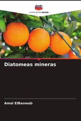 Diatomeas mineras