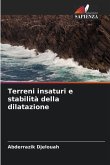 Terreni insaturi e stabilità della dilatazione