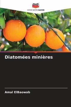 Diatomées minières - ElBaowab, Amal