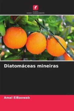 Cover Diatomáceas mineiras