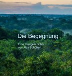 Die Begegnung (eBook, ePUB)