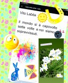 Il mondo si è capovolto sette volte e noi siamo sopravvissuti (eBook, ePUB)