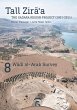 Wadi al-¿Arab Survey (eBook, PDF) - Bild 1