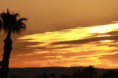 Alone is Okay (eBook, ePUB) - Mph, Gerald Boone Bsw