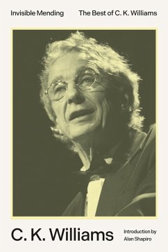 Cover Invisible Mending (eBook, ePUB)