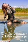 Zum Rudelbumsen im Schlamm gezwungen (eBook, ePUB)