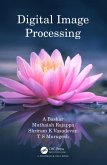 Digital Image Processing (eBook, ePUB)