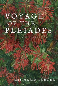 Voyage of the Pleiades - Turner, Amy Marie