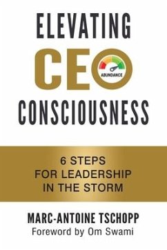 Elevating CEO Consciousness: 6 Steps for Leadership in the Storm - Tschopp, Marc-Antoine