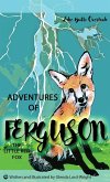 Adventures of Ferguson, the Little Red Fox