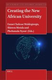 Creating the New African University