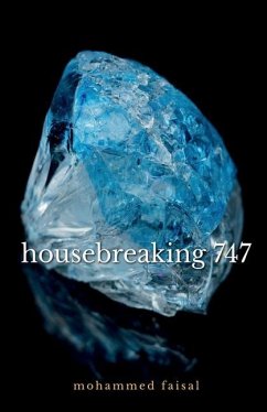 housebreaking 747 - Faisal M., Mohammed