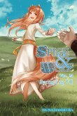 Spice and Wolf, Vol. 24 (light novel)