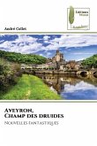 Aveyron, Champ des druides