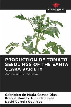 PRODUCTION OF TOMATO SEEDLINGS OF THE SANTA CLARA VARIETY - Gomes Dias, Gabrielen de Maria;Almeida Lopes, Brenna Karelly;do Anjos, David Correia