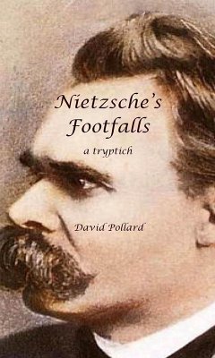 Nietzsche's Footfalls (eBook, ePUB) - Pollard, David