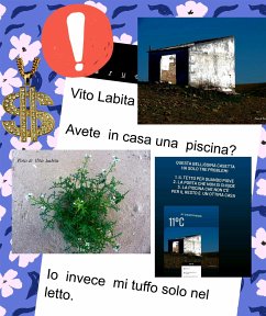 Avete in casa una piscina? (eBook, ePUB) - Vito, Labita