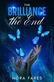 The Brilliance at the End (eBook, ePUB)