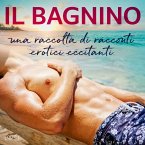 Il bagnino: una raccolta di racconti erotici eccitanti (MP3-Download)