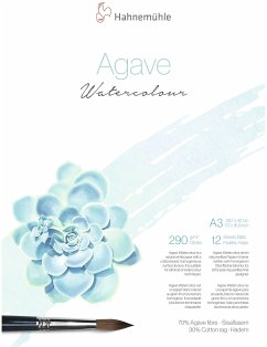Cover Hahnemühle Agave Watercolour A 3 12 Blatt 290 g