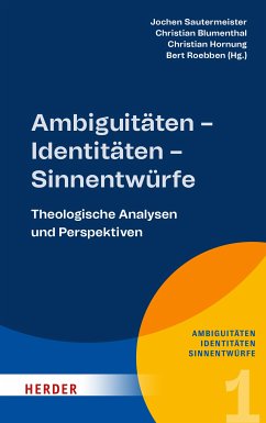 Ambiguitäten – Identitäten – Sinnentwürfe (eBook, PDF)