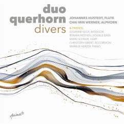 Cover Duo Querhorn Divers
