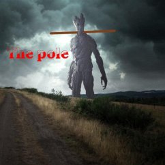 The Pole (eBook, ePUB) - Athanas, Jim