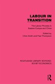 Labour in Transition (eBook, ePUB)