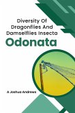 Diversity Of Dragonflies And Damselflies Insecta Odonata