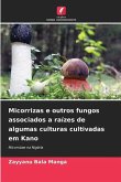 Micorrizas e outros fungos associados a raízes de algumas culturas cultivadas em Kano