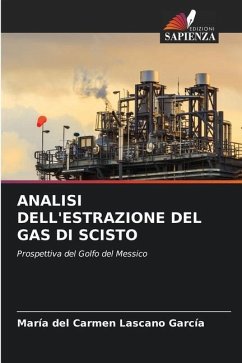 ANALISI DELL'ESTRAZIONE DEL GAS DI SCISTO - Lascano García, María del Carmen