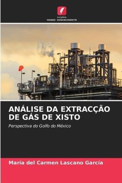 ANÁLISE DA EXTRACÇÃO DE GÁS DE XISTO - Lascano García, María del Carmen