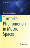 Turnpike Phenomenon in Metric Spaces (eBook, PDF)