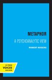Metaphor (eBook, ePUB)