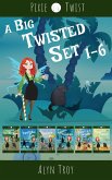 A Big Twisted Set (eBook, ePUB)